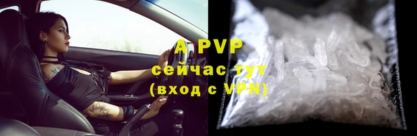 PSILOCYBIN Аша