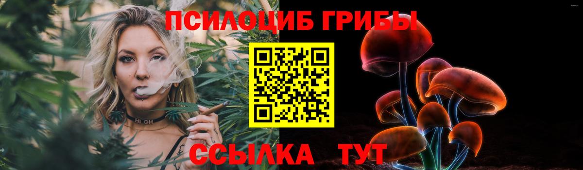 Алексин  Псилоцибиновые грибы Psilocybe  Вход с VPN 